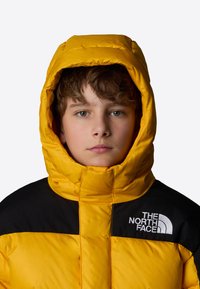 Giacca a vento gialla con un ampio cappuccio imbottito. Le spalle nere presentano un logo bianco. Il materiale sembra liscio con una trama trapuntata.