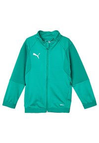 Puma LIGA TRAINING JACKET JR - Giacca sportiva - pepper green-puma white