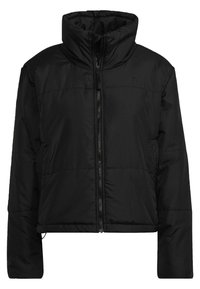 Zwarte donsjacket met een cropped design, hoge kraag en ritssluiting. Heeft geïsoleerde panelen en zijzakken voor extra warmte.