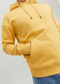 Jack & Jones JJESTAR  NOOS - Sweat à capuche - jojoba
