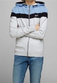 Felpa grigia con zip, caratterizzata da un design a righe blu e nere, dotata di cappuccio, polsini a coste e un piccolo logo sulla zona del petto.