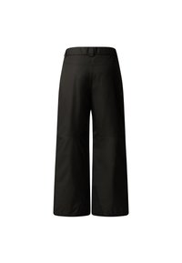 The North Face FREEDOM INSULATED PANT - Snow pants - black