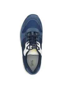 camel active HIKE - Sneaker low - navyblue