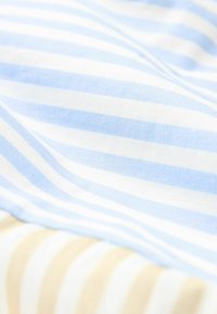 Next SHORT SLEEVE - T-shirt med print - blue neutral stripe