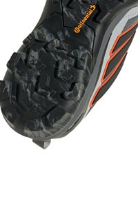 adidas Performance TERREX SKYCHASER GTX - Hikingsko - grevif cblack gretwo