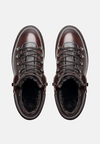 Henry Stevens BARKLEY - Stivali da neve  - schwarzbraun