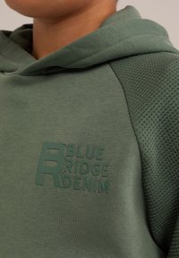 WE Fashion BLUE RIDGE - Mikina s kapucňou - green