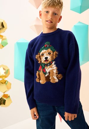 Next, CHRISTMAS - Striktrøje - navy blue dog
