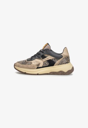 Floris van Bommel, FLORIS VAN BOMMEL SNEAKER HOLLI 01 - Sneakers laag - taupe