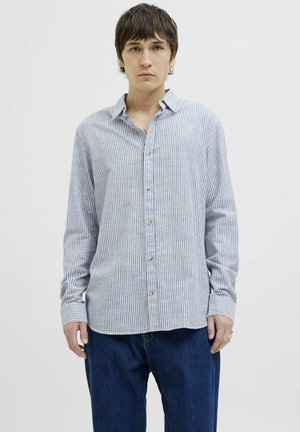 Camicia button-up a righe blu chiaro e bianche, maniche lunghe, colletto, con bottoni dorati visibili e polsini arrotolati.