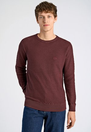 Giovane uomo con capelli corti e ricci che indossa un maglione bordeaux a maniche lunghe con trama e jeans blu su uno sfondo chiaro uniforme.