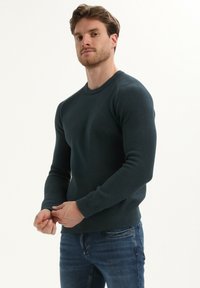 Tmavě zelený pletený svetr s kulatým výstřihem a dlouhými rukávy; má žebrovanou strukturu a přiléhavý střih. Kombinováno s modrými džíny.