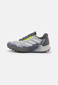 AGRAVIC FLOW 2.0 - Löparskor terräng - silver/crystal white/lucid lemon