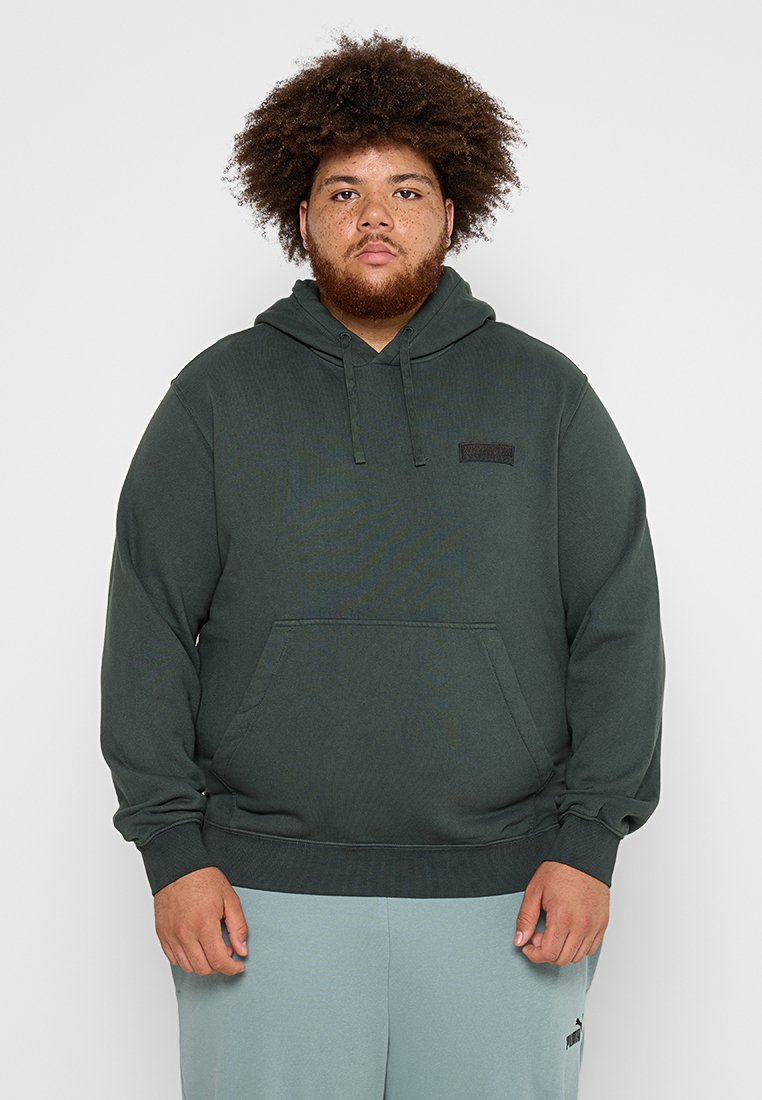 Napapijri Hoodie groen