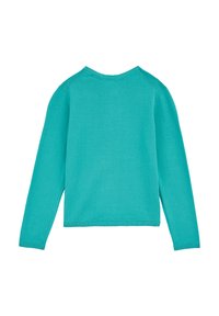 Tirkīza krāsas garā piedurknē pulovers, kas izgatavots no mīkstas auduma. Tam ir apaļa kakla izgriezums un ribotas aproces. Vienkāršs dizains, bez redzamām rakstu vai akcentu detaļām.