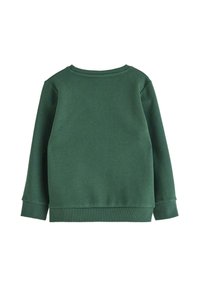 Grøn sweatshirt med rund hals, ribbede ærmer og kant. Blød stofstruktur med en glat overflade, der har et enkelt, ensfarvet design.
