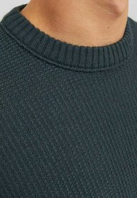 Jack & Jones JORKYLE CREW NECK - Jumper - magical forest
