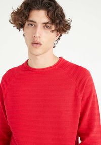 Suéter rojo de manga larga con un patrón de rayas texturizado, cuello redondo y acentos de canalé en los puños y el dobladillo. Tela suave.