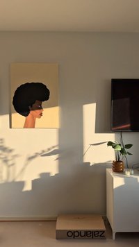 Framed artwork featuring a profile of a woman with a large, black afro against a light beige background; shadows cast on the wall.