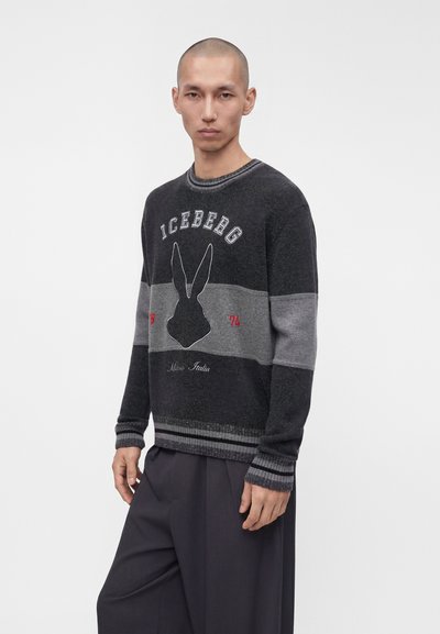 Homme à la tête rasée portant un pull rayé noir et gris avec l'inscription « ICEBERG » et un motif de lapin, associé à un pantalon ample foncé, sur fond blanc.