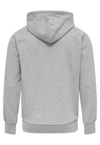 Grå hoodie med snörning i huvan, mjukt tyg, rippade muddar och midja, med en slät yta och inga synliga logotyper eller mönster.