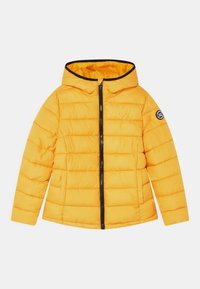 Pepe Jeans AMBER - Vinterjacka - colemans