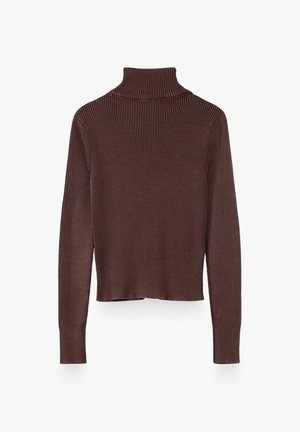 Brown ribbed long-sleeve turtleneck sweater with slim fit and slightly cropped length shown from the back on a white background.