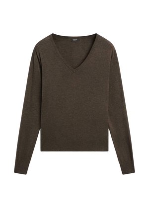 Brauner, langärmeliger Pullover mit V-Ausschnitt, aus weichem Stoff gefertigt. Hat eine lockere Passform mit geradem Saum und minimalen Details.