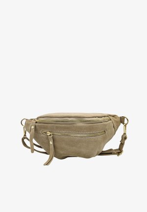 Banane en suède marron avec deux compartiments zippés, accents en matériel doré et sangle ajustable. Texture douce avec une forme arrondie.