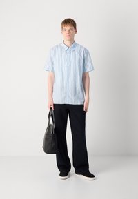 Cămașă scurtă de culoare albastru deschis, cu dungi verticale, cu nasturi, asortată cu pantaloni negri largi și o geantă neagră. Textură netedă.