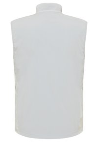 Gilet senza maniche in grigio chiaro, con colletto alto, texture liscia e senza chiusure o motivi visibili sul retro.