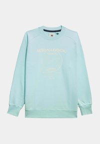 Sudadera de color azul claro con mangas largas, cuello redondo y puños de canalé. Presenta un diseño gráfico de texto en blanco en la parte frontal. Textura suave.