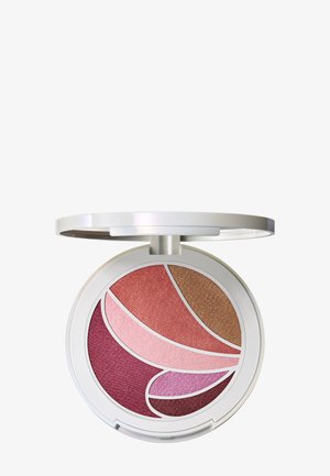 Palette de maquillage ronde avec un couvercle argenté réfléchissant. Contient cinq teintes : bourgogne foncé, rose doux, pêche clair, bronze cuivré et rose pourpre.