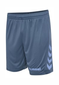 Mörkgrå sportshorts tillverkade av slät tyg, med elastisk midjeband och ljusblå chevronaccenter på sidan.