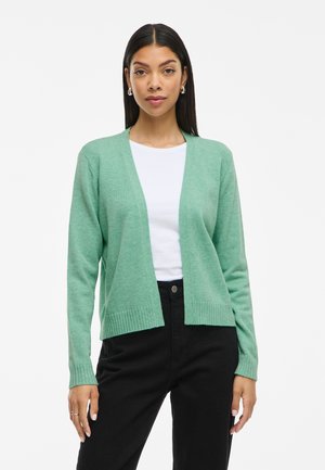 Cardigan verde chiaro realizzato in un materiale morbido, con scollo a V, apertura frontale e polsini a coste, abbinato a una maglietta bianca e pantaloni neri.