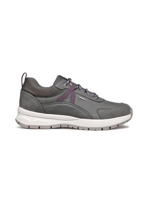 Geox BRAIES - Zapatillas - grau