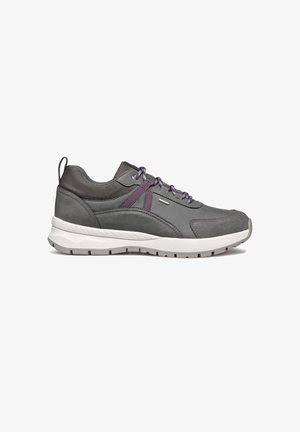 Geox BRAIES - Zapatillas - grau