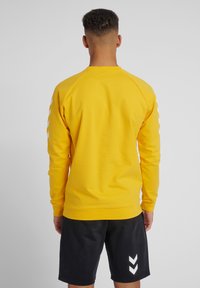 Gele sweatshirt met lange mouwen. Kenmerkt zich door een geribde kraag en manchetten, een gladde textuur en witte chevronaccenten langs de mouwen.