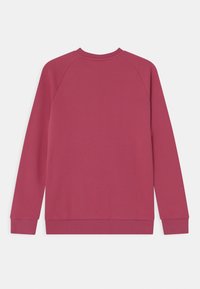 Fleecetröja i dov rosa, med långa raglanärmar, rund halsringning samt ribbade muddar och nederkant, slät textur, enkel design.