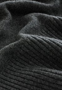 Next HIGH ROLL NECK - Svetrík - grey charcoal