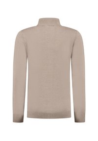 Ballin REGULAR FIT HALF ZIP - Strickpullover - taupe