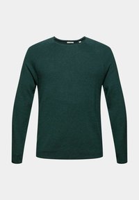 Pull à col rond à manches longues en tricot côtelé vert foncé, coupe régulière, design simple, sans logos ni motifs visibles, présenté sur un fond uni.