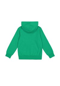 Felpa verde con cappuccio, caratterizzata da una texture liscia e piatta, polsini a costine e un orlo pulito. Nessun logo o motivo visibile.