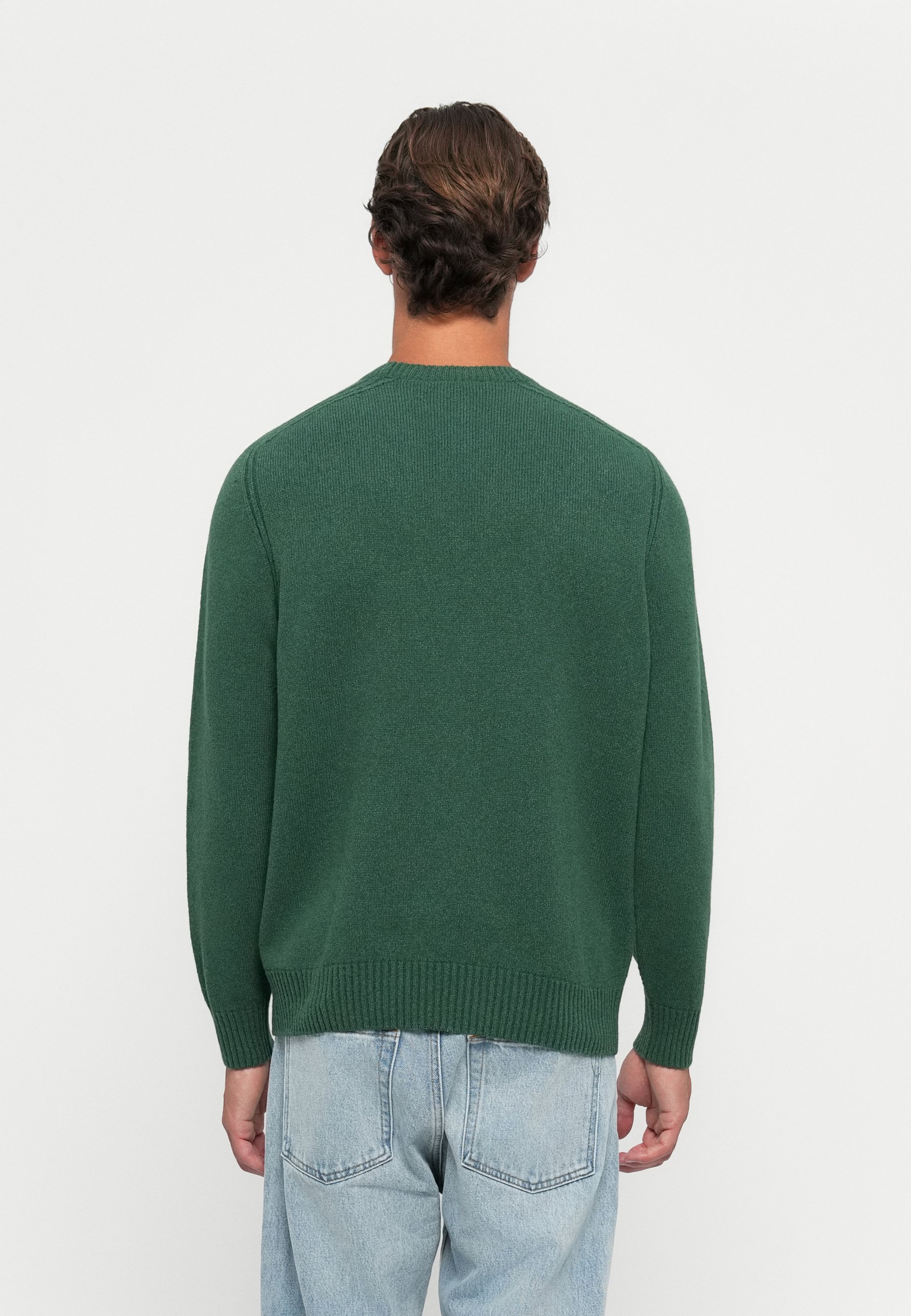 【今だけお買い得！】LACOSTE Knit Sweater(green) Lacoste - Small Logo Knit Sweater (Green / Flour) | HHV