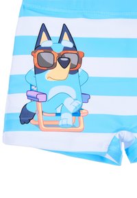 Pantaloni da bagno blu con strisce bianche che presentano un cane a cartoni animati con occhiali da sole, seduto su una sedia. Il materiale è liscio ed elasticizzato.