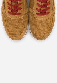 Marco Tozzi by Guido Maria Kretschmer LACE-UP - Trainers - mustard
