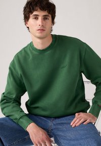 Groene sweatshirt van zacht materiaal, met een ronde hals en geribbelde manchetten. Klein logo op de borst en een comfortabele pasvorm. Gecombineerd met blauwe jeans.