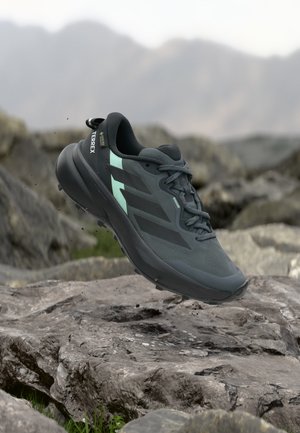 Scarpa da trail running Adidas Terrex grigio scuro a mezz'aria sopra un terreno roccioso con montagne sfocate sullo sfondo.
