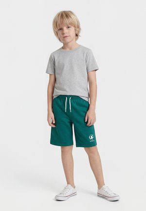 Champion Shorts - green