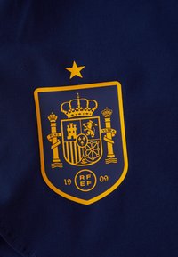 Tecido azul com um emblema dourado apresentando um escudo coroado, duas colunas com fitas contendo a inscrição "PLVS VLTRA", uma estrela acima e os números 1909.